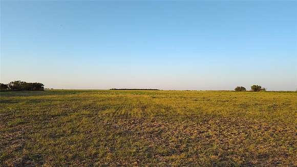 71.78 Acres of Agricultural Land for Sale in Anson, Texas