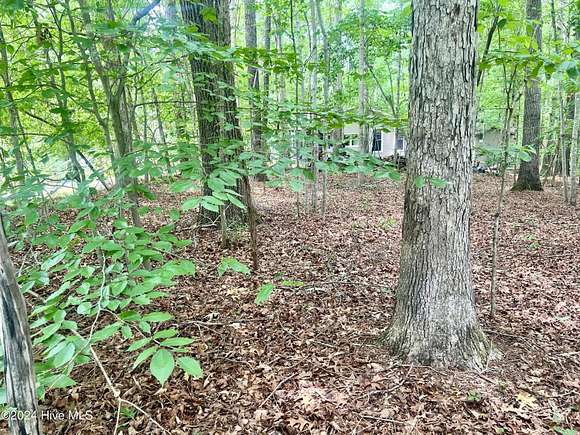 0.13 Acres of Residential Land for Sale in Louisburg, North Carolina