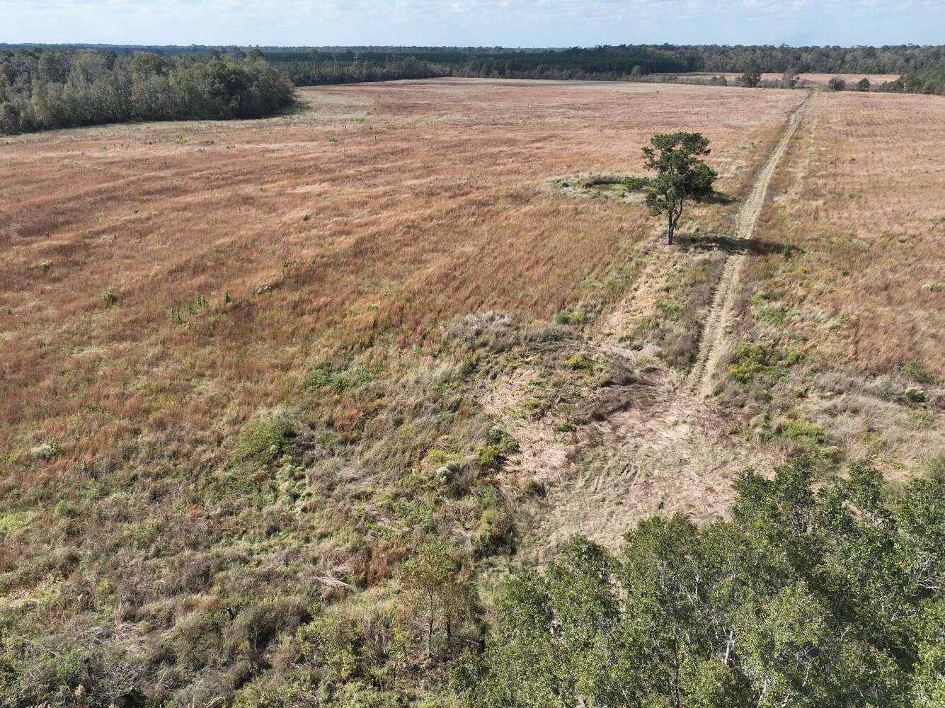 45.16 Acres of Agricultural Land for Sale in Oberlin, Louisiana