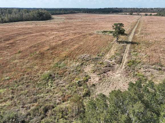 135.5 Acres of Agricultural Land for Sale in Oberlin, Louisiana