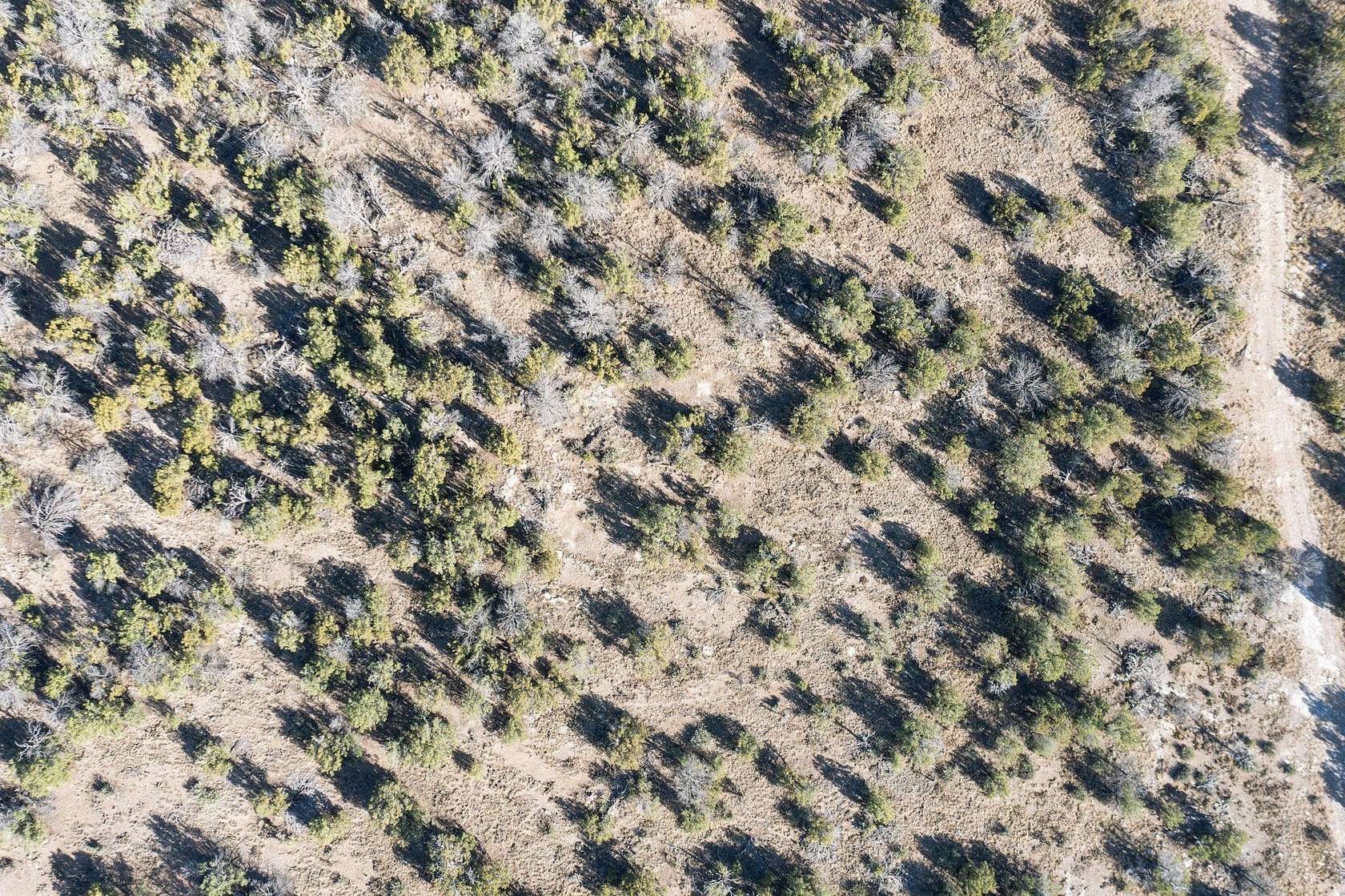 4.5 Acres of Land for Sale in Edgewood, New Mexico