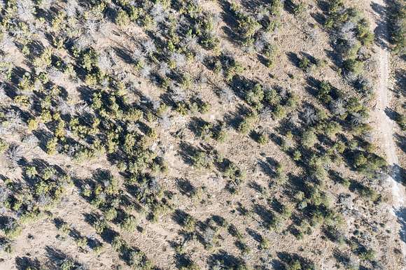 4.5 Acres of Residential Land for Sale in Edgewood, New Mexico