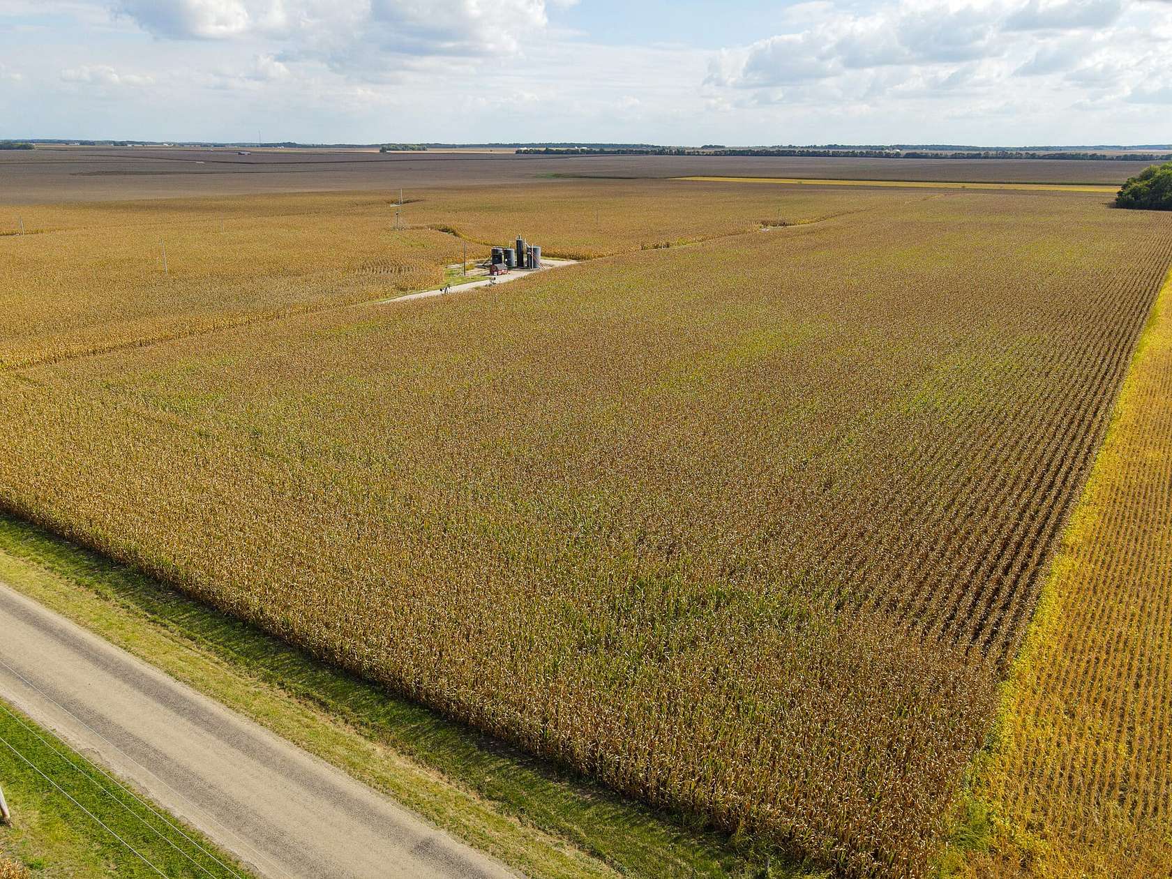 70 Acres of Agricultural Land for Sale in Paris, Illinois