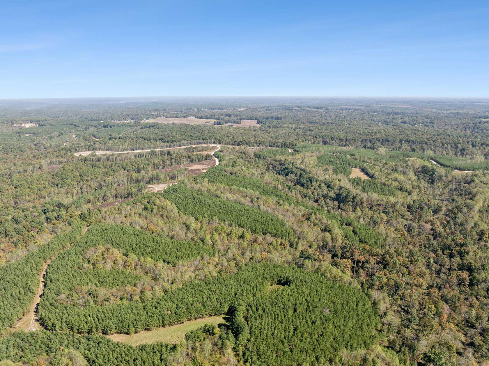 33.62 Acres of Land for Sale in Dover, Tennessee