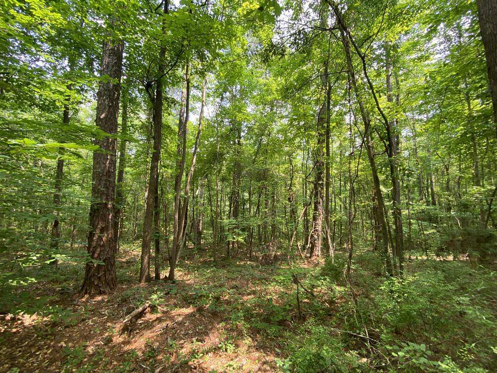 130 Acres of Recreational Land for Sale in Coker, Alabama