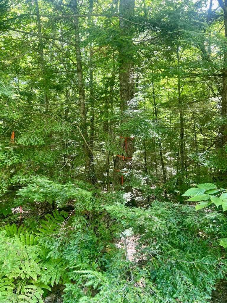 Residential Land for Sale in Casco, Maine