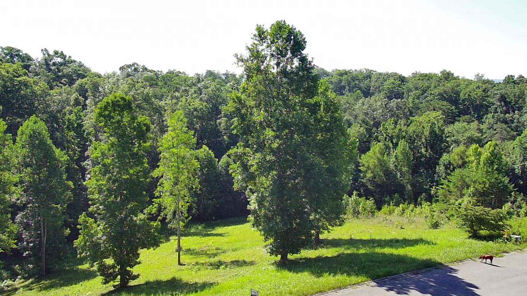 0.929 Acres of Residential Land for Sale in Dandridge, Tennessee