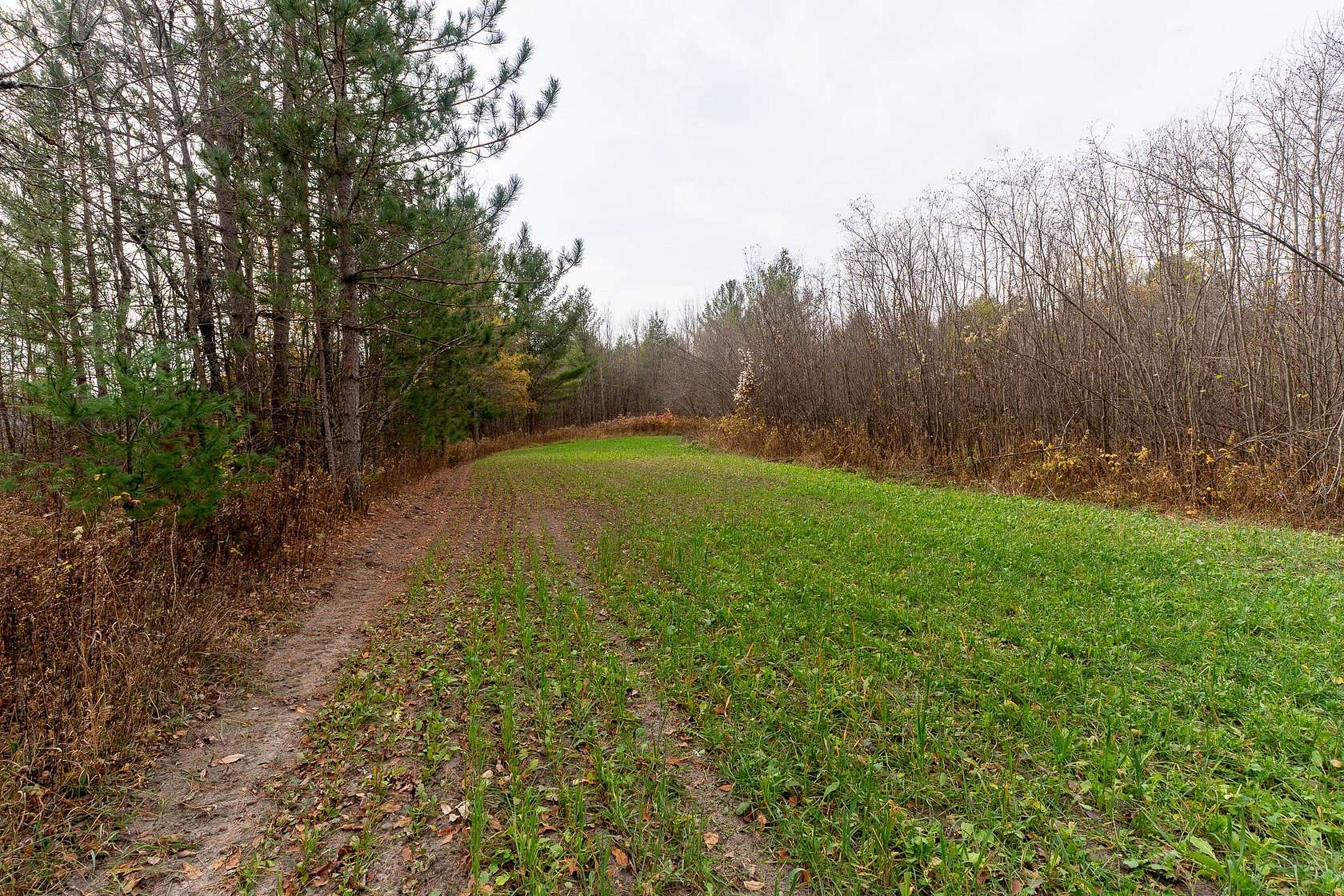 107 Acres of Recreational Land for Sale in Hillman, Michigan