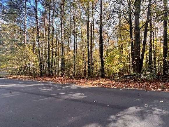 0.51 Acres of Residential Land for Sale in Acworth, Georgia