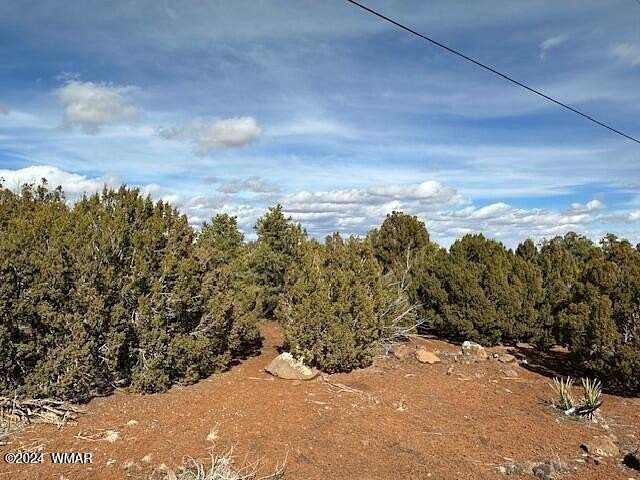 4.16 Acres of Residential Land for Sale in Concho, Arizona