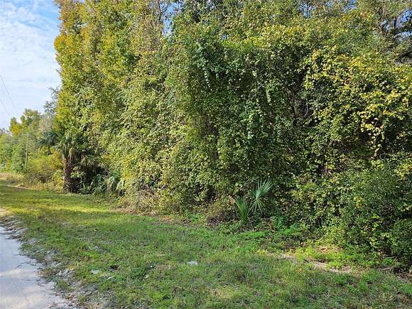 5.29 Acres of Residential Land for Sale in Citra, Florida