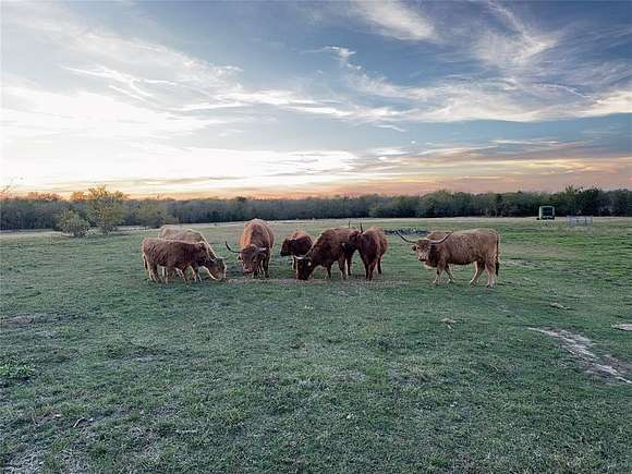 77.342 Acres of Agricultural Land for Sale in Campbell, Texas