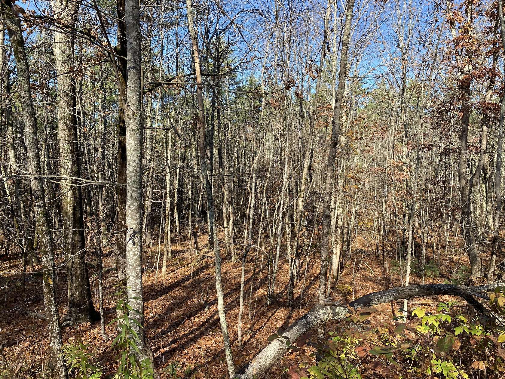 43 Acres of Recreational Land for Sale in Wells, Maine