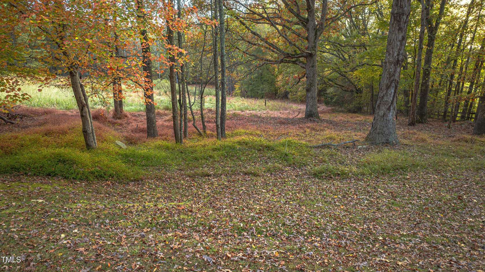 24.17 Acres of Land for Sale in Oxford, North Carolina