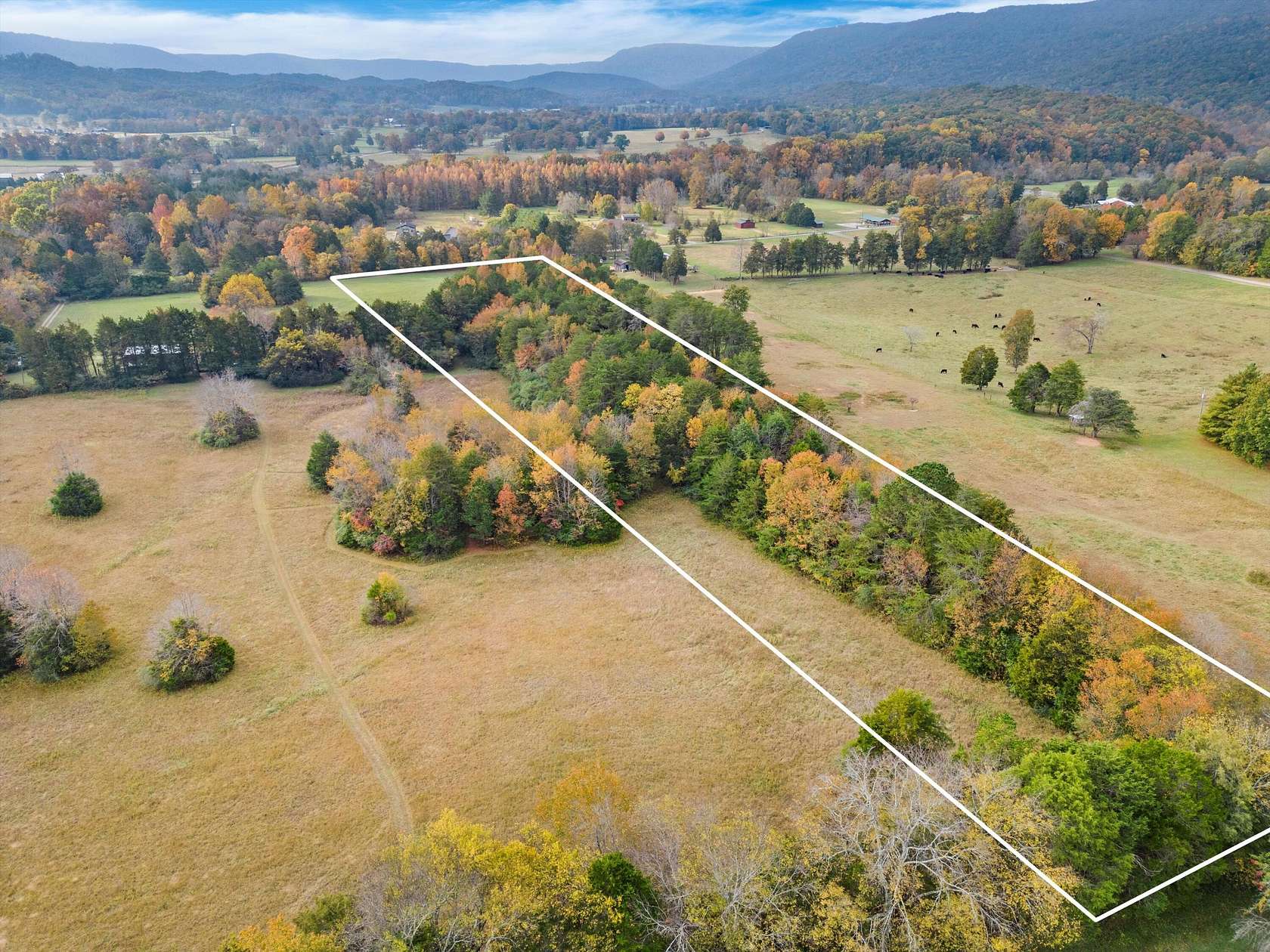 6 Acres of Land for Sale in Chickamauga, Georgia