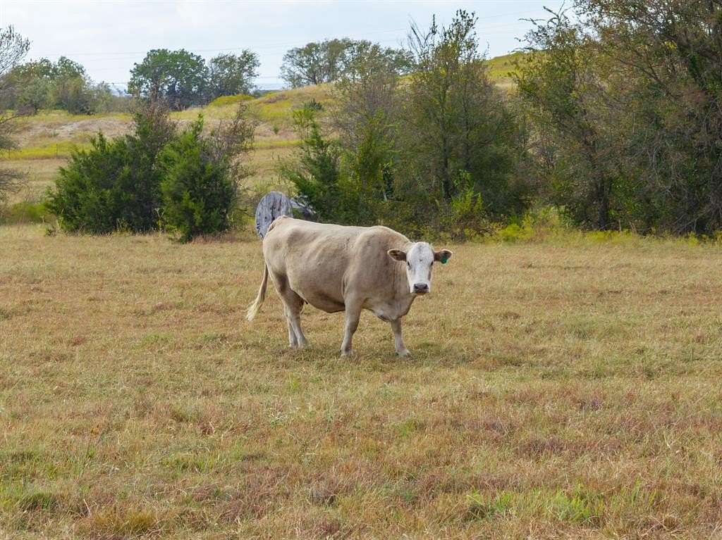 19.314 Acres of Land with Home for Sale in Jonesboro, Texas