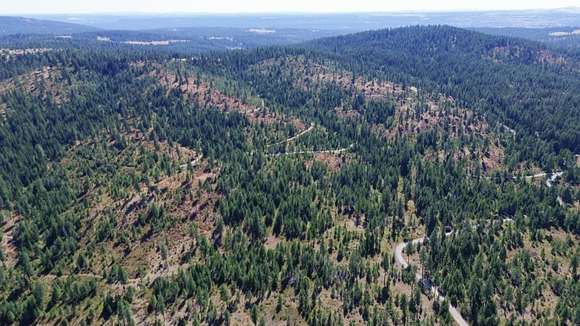 39.87 Acres of Land for Sale in Deer Park, Washington