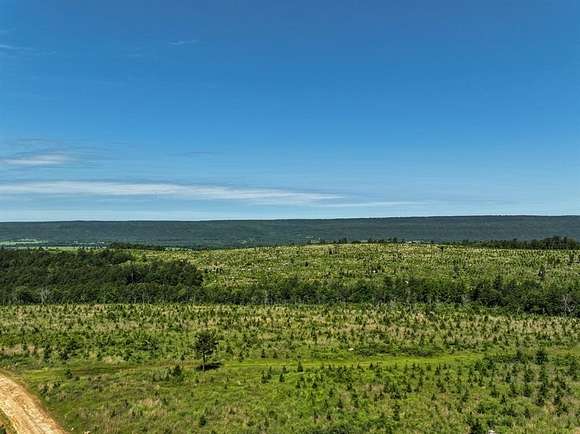 260 Acres of Recreational Land for Sale in Antlers, Oklahoma