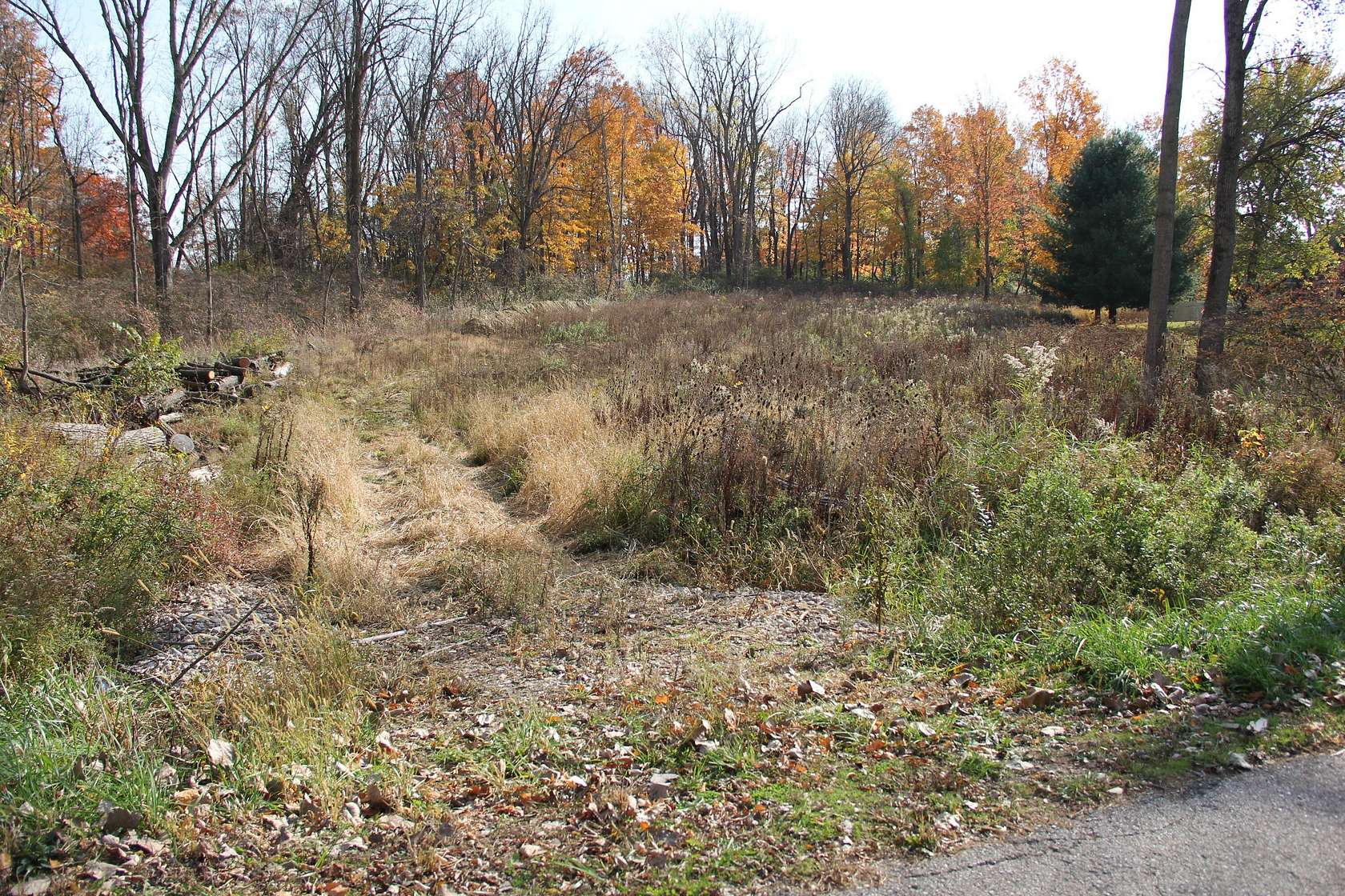 1.19 Acres of Residential Land for Sale in Niles, Michigan