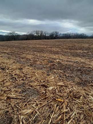 30.82 Acres of Recreational Land & Farm for Sale in Platteville, Wisconsin