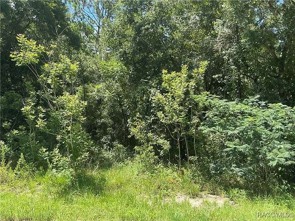 0.28 Acres of Residential Land for Sale in Inverness, Florida