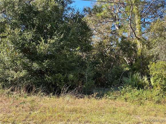 0.23 Acres of Residential Land for Sale in Citrus Springs, Florida