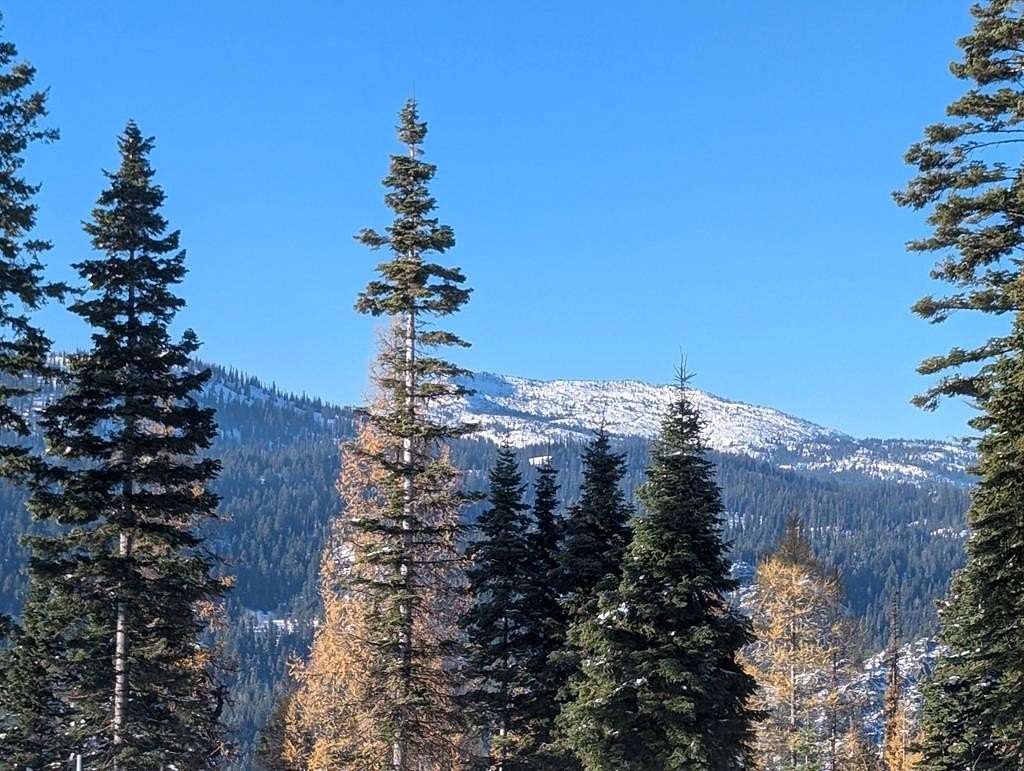 0.29 Acres of Residential Land for Sale in McCall, Idaho