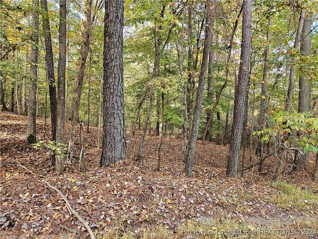 2 Acres of Residential Land for Sale in Sanford, North Carolina