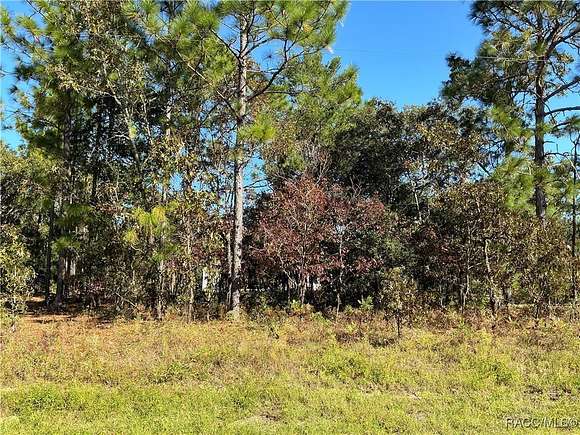 0.23 Acres of Residential Land for Sale in Dunnellon, Florida