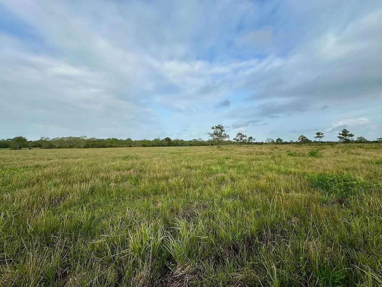 15 Acres of Land for Sale in Anahuac, Texas