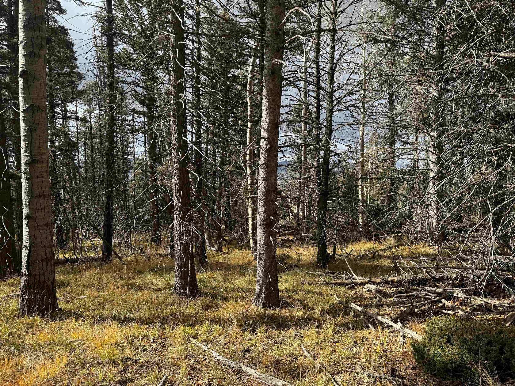 0.87 Acres of Residential Land for Sale in Angel Fire, New Mexico