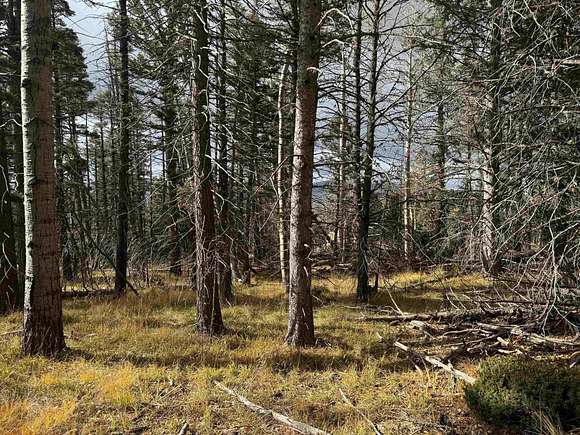 0.87 Acres of Residential Land for Sale in Angel Fire, New Mexico