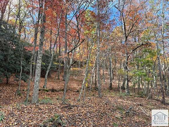 116 Acres of Recreational Land for Sale in Stuart, Virginia