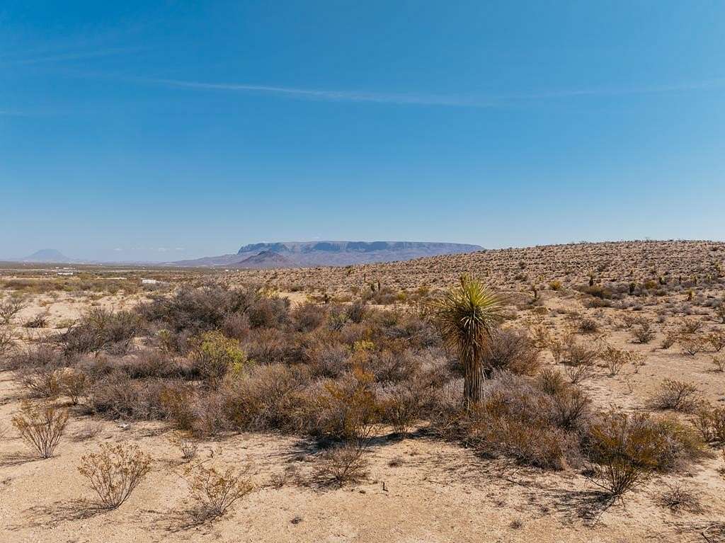 41 Acres of Land for Sale in Alpine, Texas