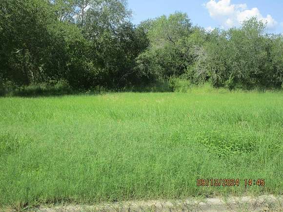 0.161 Acres of Residential Land for Sale in Beeville, Texas