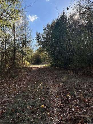 3.6 Acres of Land for Sale in Hot Springs, Arkansas