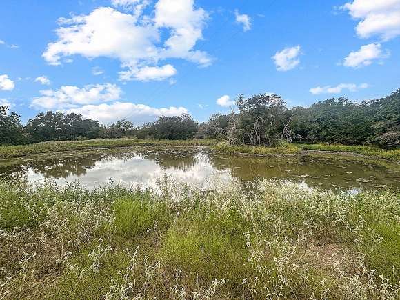 17 Acres of Land for Sale in Muldoon, Texas