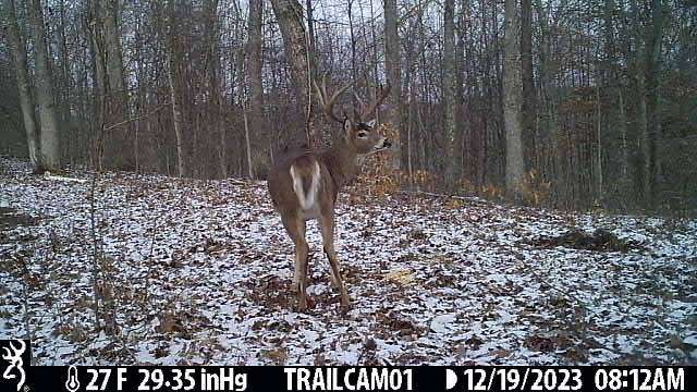 10 Acres of Recreational Land for Sale in Ray, Ohio