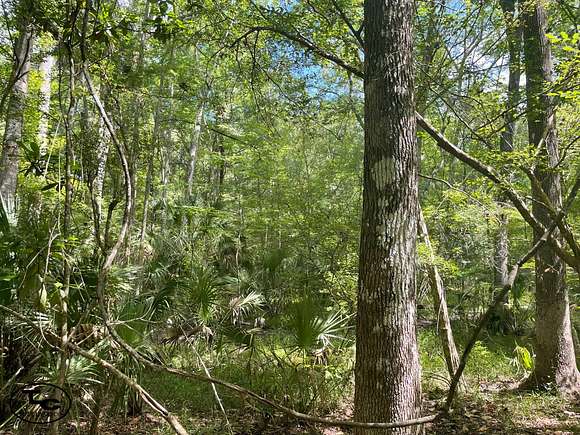 5 Acres of Land for Sale in Gulf Hammock, Florida