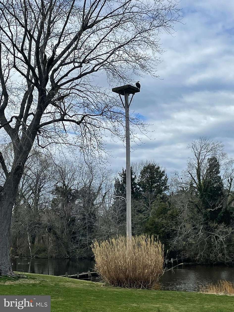 11.4 Acres of Land for Sale in Cambridge, Maryland