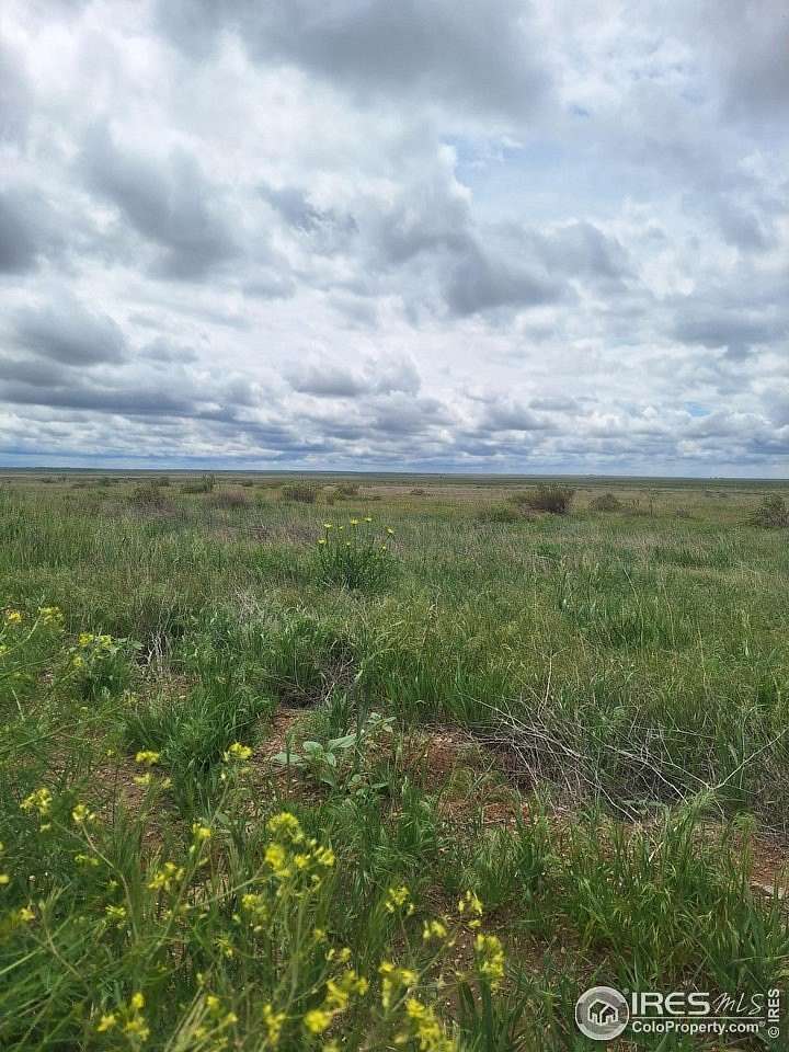 36 Acres of Recreational Land for Sale in Briggsdale, Colorado
