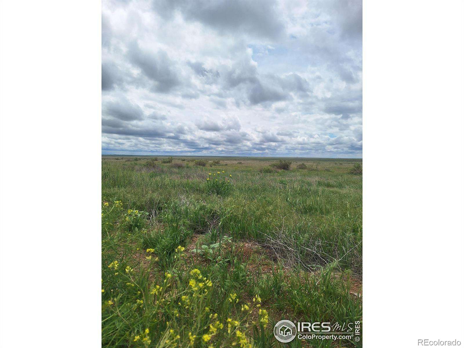 36 Acres of Recreational & Residential Land for Sale in Briggsdale, Colorado