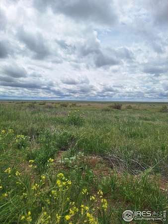 36 Acres of Recreational Land for Sale in Briggsdale, Colorado