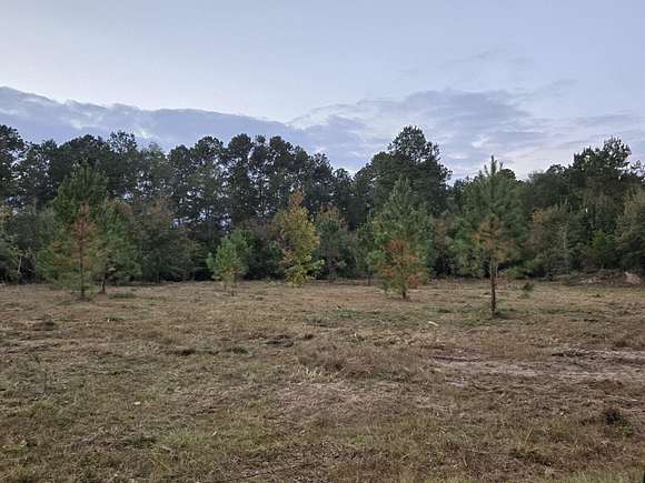 1.19 Acres of Land for Sale in Williston, South Carolina