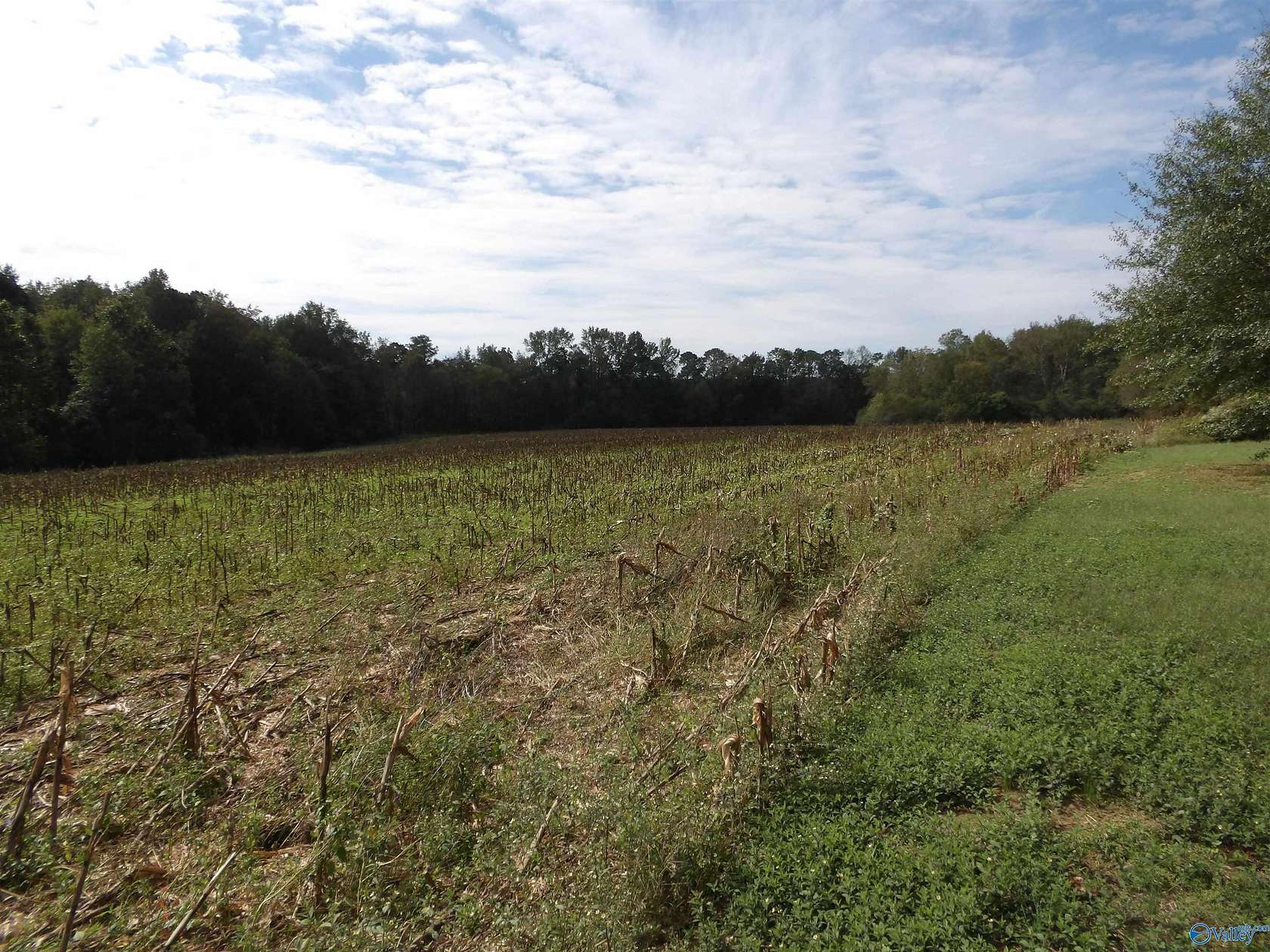 29 Acres of Recreational Land & Farm for Sale in Albertville, Alabama