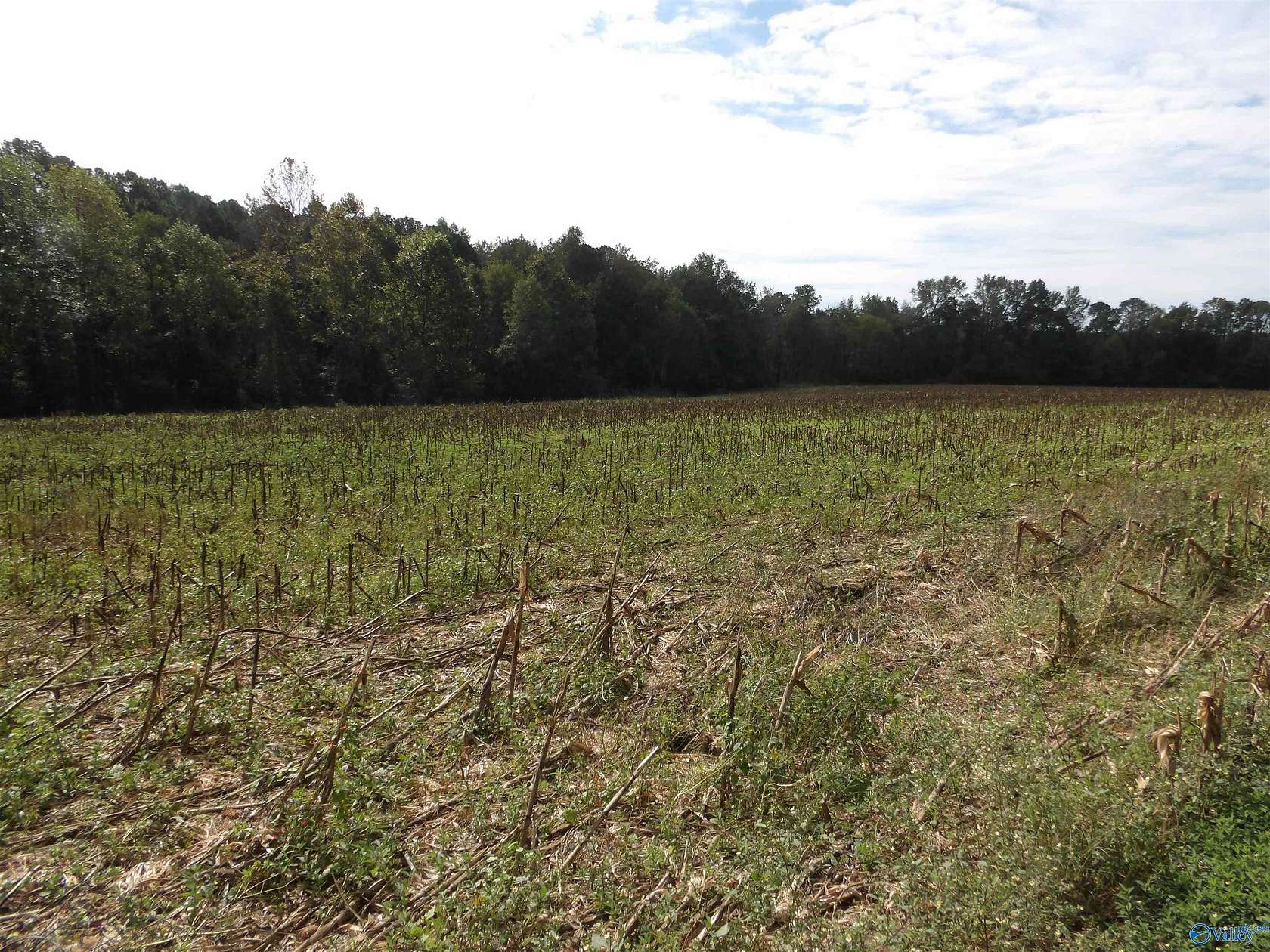 29 Acres of Recreational Land & Farm for Sale in Albertville, Alabama