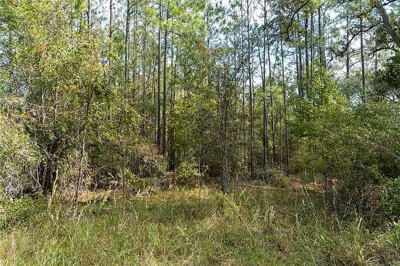 0.54 Acres of Residential Land for Sale in Old Town, Florida