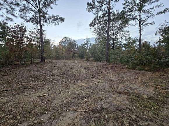 0.44 Acres of Residential Land for Sale in Williston, South Carolina