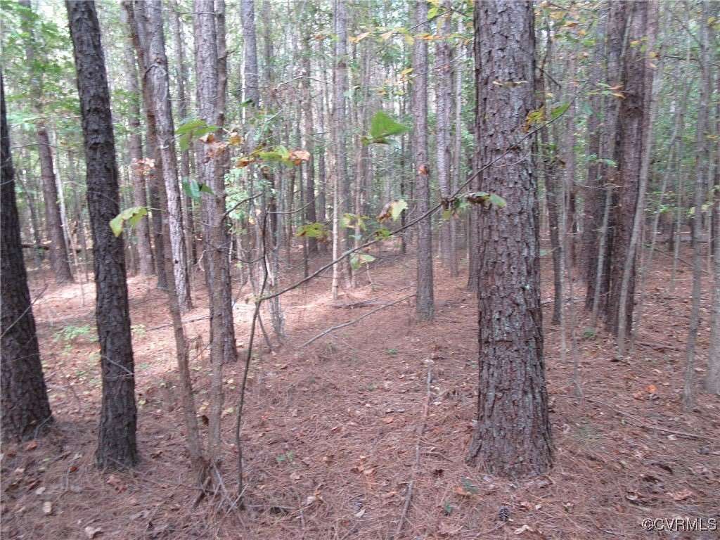 10.4 Acres of Agricultural Land for Sale in Dinwiddie, Virginia