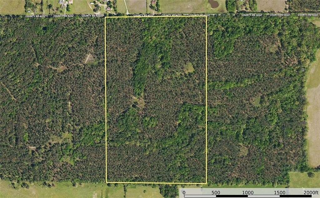 94.5 Acres of Land for Sale in Frankston, Texas